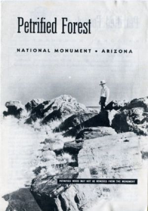 [Gutenberg 59692] • Petrified Forest National Monument (1953)